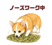 857690820
