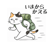 857691228