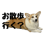 857691257