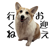 857691259