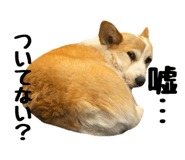 857691265