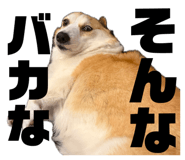 857691267