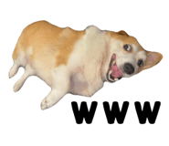 857691269