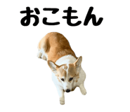 857691279