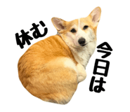 857691280