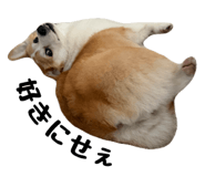 857691282
