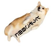 857691283