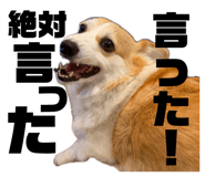 857691285