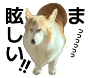 857691286