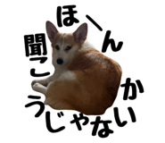857691287