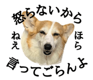 857691288
