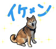857691809