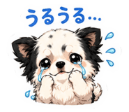 857692412