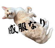 857692650