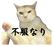 857692652