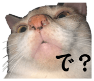 857692653