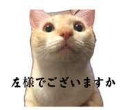 857692654