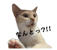 857692656