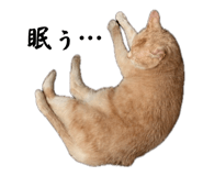 857692660