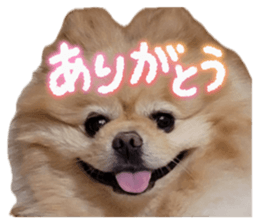 857693362