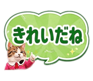 857693691