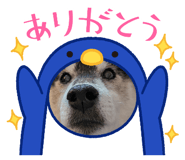 857693723