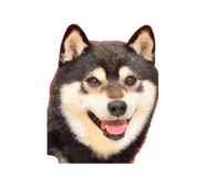 857694009