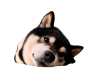 857694013