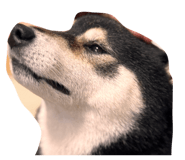 857694015