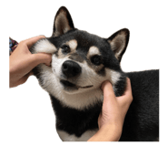 857694016
