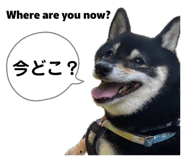 857694069