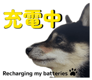 857694084