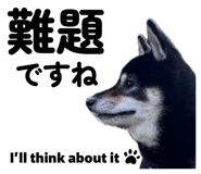 857694090