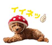 857694572