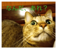 857694789