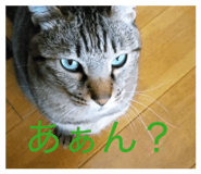 857694795