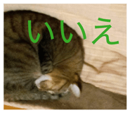 857694798