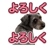 857694843