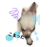 857695240
