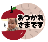857695335