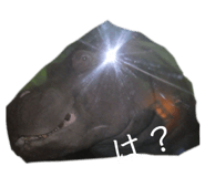 857696389