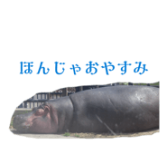 857696390