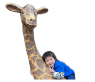 857696439