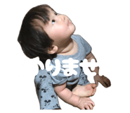 857696440