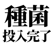857698714
