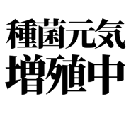 857698720