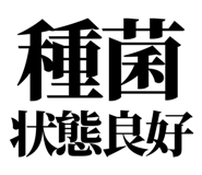 857698732
