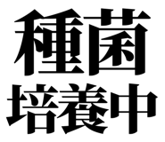 857698744