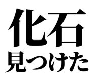 857698889