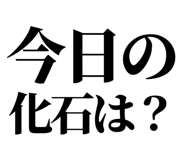 857698890